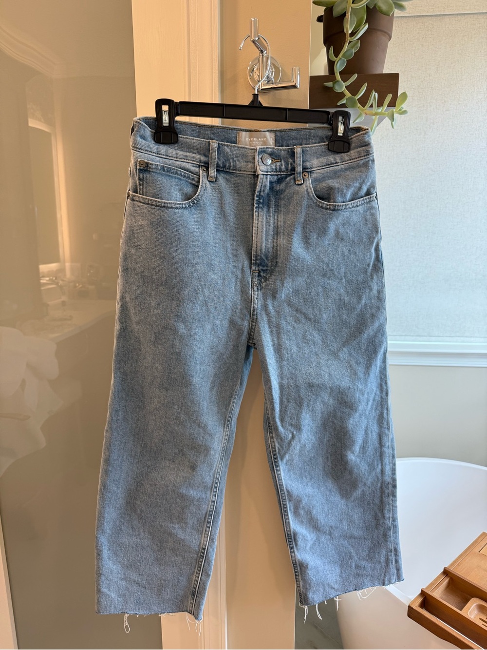 Everlane 27 regular the way high Jean